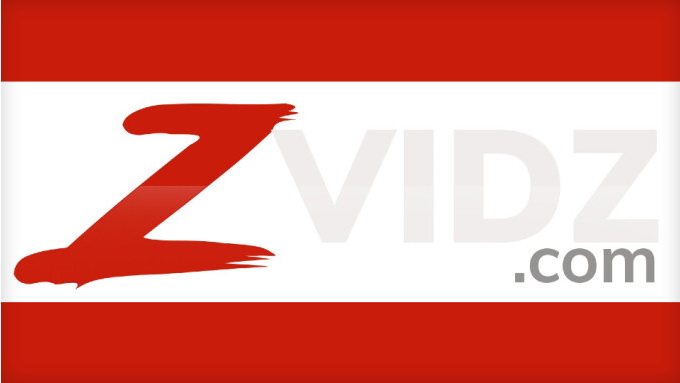 WebMediaProz führt den ZVidz Streaming-Dienst ein