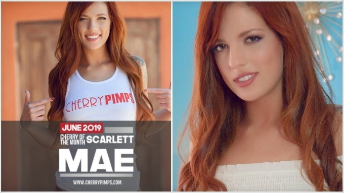 Scarlett Mae Ist Cherry Pimps' Juni 'Cherry of the Month'